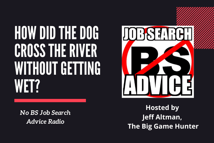 How Did The Dog Cross The River Without Getting Wet?
