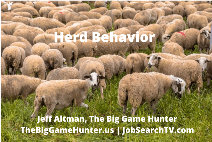 Herd Behavior