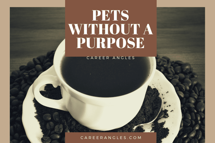 Pets Without a Purpose