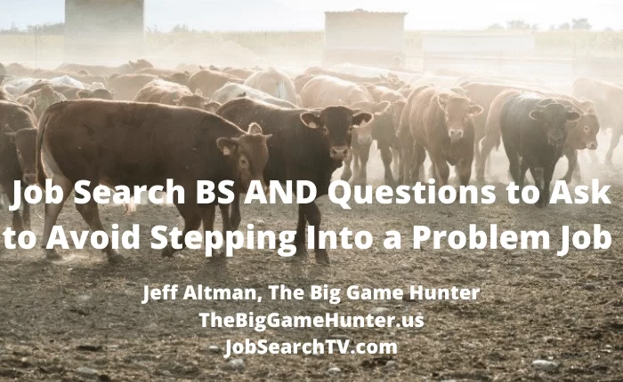 Job Search BS AND Questions to Ask to Avoid Stepping Into a Problem Job